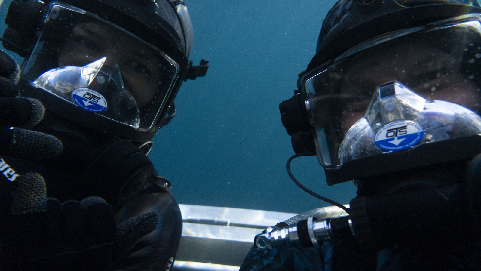 Viasat Nature Boss Shark Humans 31