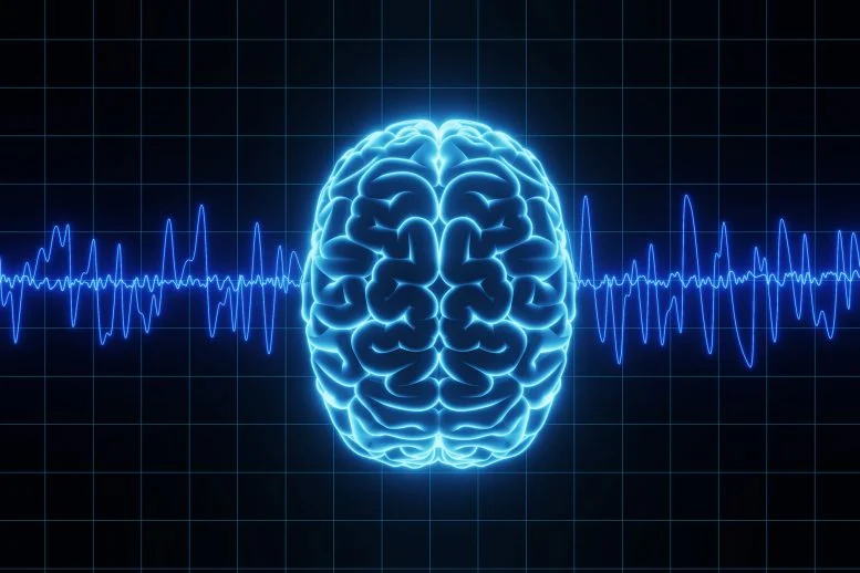 Οι επιστήμονες του Γέιλ λύνουν ένα μυστήριο αιωνόβιων εγκεφαλικών κυμάτων