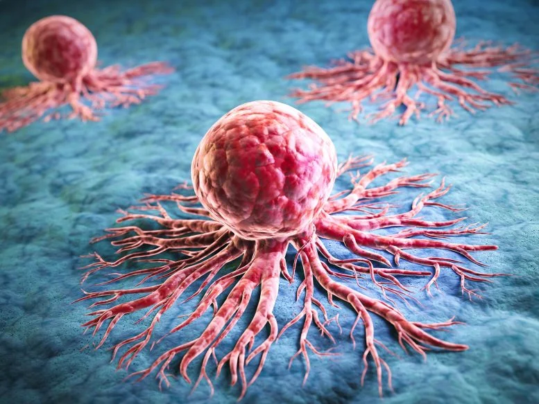 Οι επιστήμονες ανακαλύπτουν πώς τα κύτταρα της λευχαιμίας «εξαπατούν τον θάνατο» και αποφεύγουν τη θεραπεία