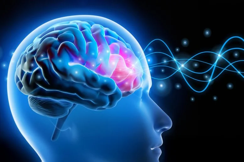 Αυτός ο κρυφός εγκεφαλικός παλμός θα μπορούσε να προβλέψει την άνοια