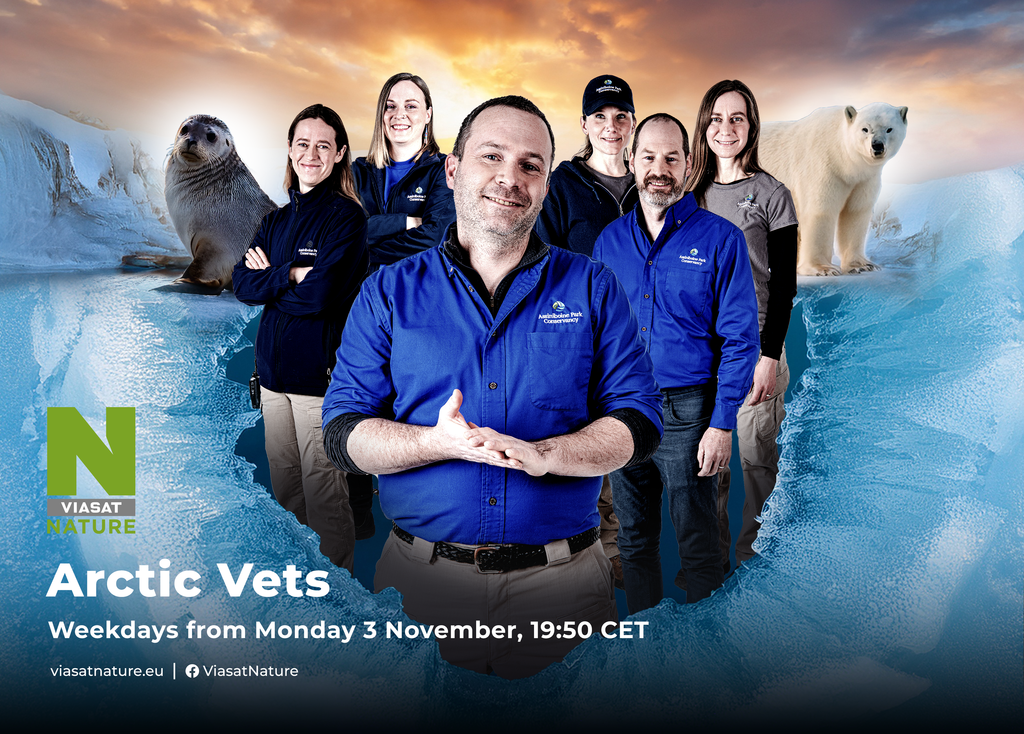 Το αφιέρωμα «Παγωμένα Σύνορα της Γης» και «Οι Κτηνίατροι της Αρκτικής» κάνουν πρεμιέρα στο Viasat Nature –