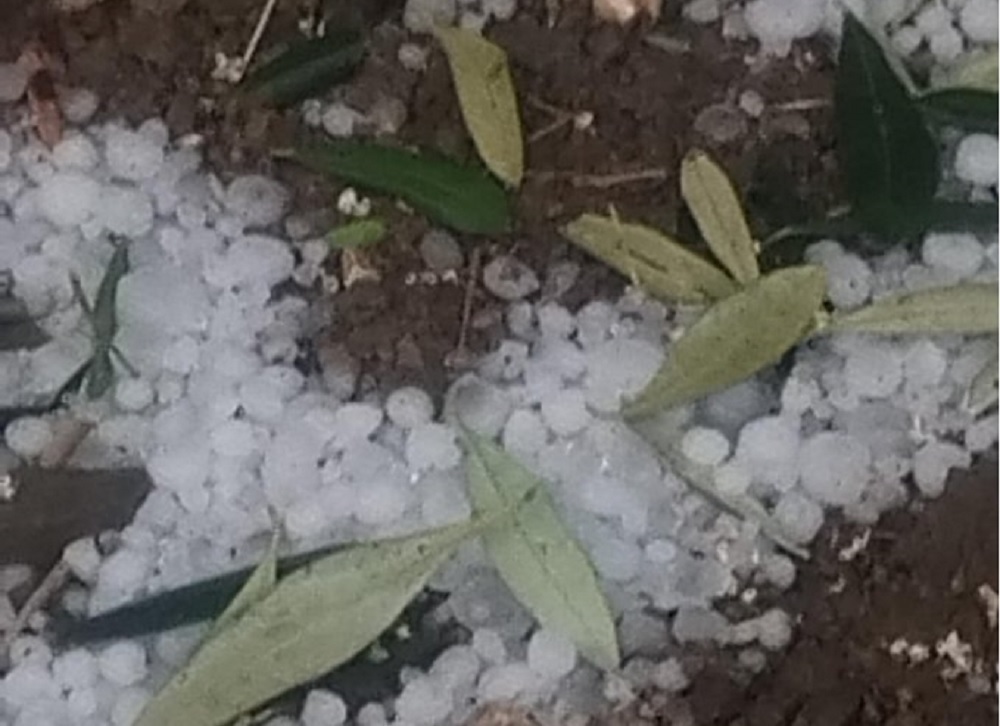 «Ασφάλιστρο ζέστης»: To αυξανόμενο κόστος των ακραίων καιρικών φαινομένων αναγκάζει τις επιχειρήσεις να ενσωματώσουν το ρίσκο των φυσικών καταστροφών