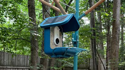 bird buddy pro camera