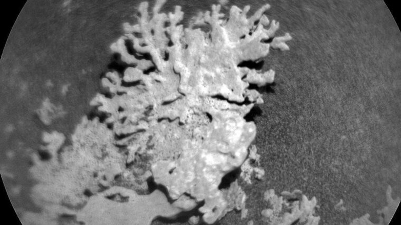 «Kοράλλι» δισεκατομμυρίων ετών εντόπισε η NASA στον Άρη