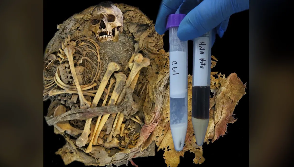 Ένα μικροβίωμα μούμιας κρύβεται μέσα στα κόπρανα 1.000 ετών
