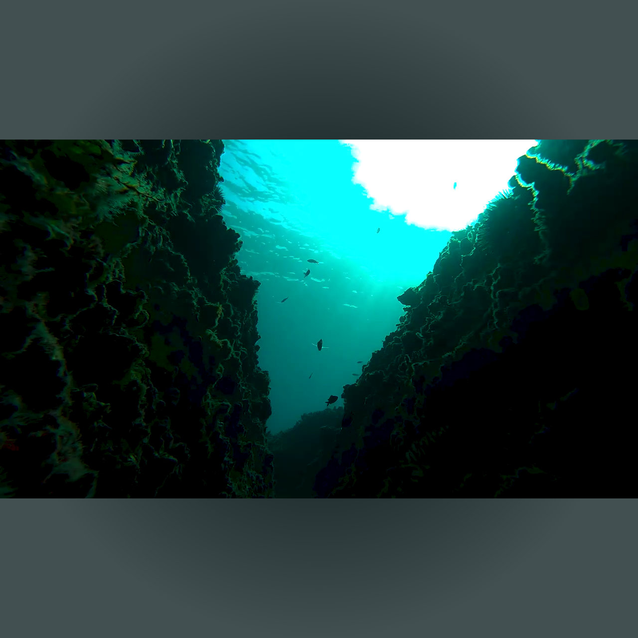 Ντοκιμαντέρ στην ΕΡΤ3: «Θάλαττα- Τα μυστικά του Αιγαίου» –