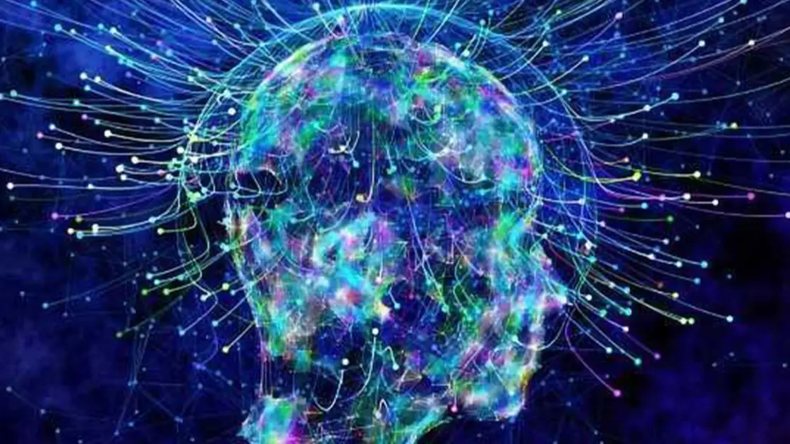 «Αποκαλύψεις! Ο εγκέφαλός μας δεν διακρίνει την αλήθεια – Πιστεύει ό,τι του λέμε ξανά και ξανά!»