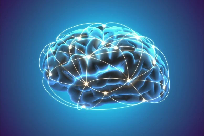 Οι επιστήμονες ανακάλυψαν έναν τρόπο για να ενισχύσουν τη μνήμη σε εγκεφάλους που γερνούν