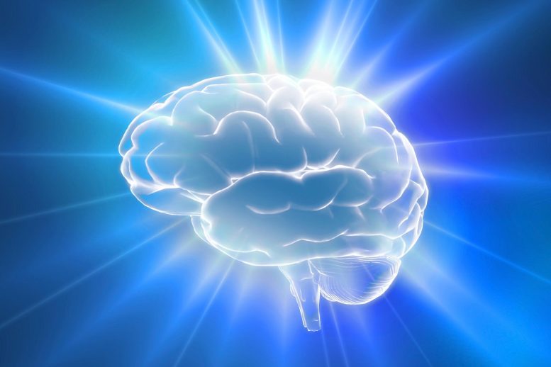 Οι επιστήμονες ανακαλύπτουν έναν κρίκο που λείπει μεταξύ των ορμονών, της ντοπαμίνης και της μάθησης