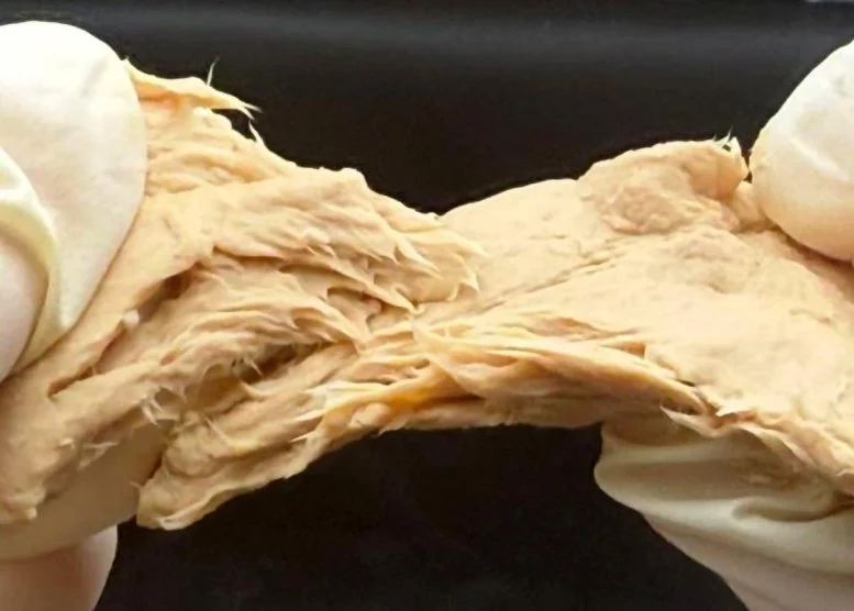 Το CRISPR υπερτροφοδοτεί έναν μύκητα που μοιάζει με κρέας σε μια βιώσιμη μονάδα παραγωγής πρωτεϊνών