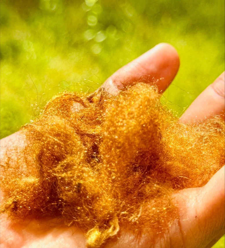 Οι επιστήμονες λύνουν το μυστήριο 2.000 ετών του άσβεστου χρυσού του μεταξιού της θάλασσας