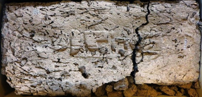 Ξαναγράφοντας την ιστορία: Το Νέο Βασίλειο της Αιγύπτου ξεκίνησε αργότερα από όσο νομίζαμε