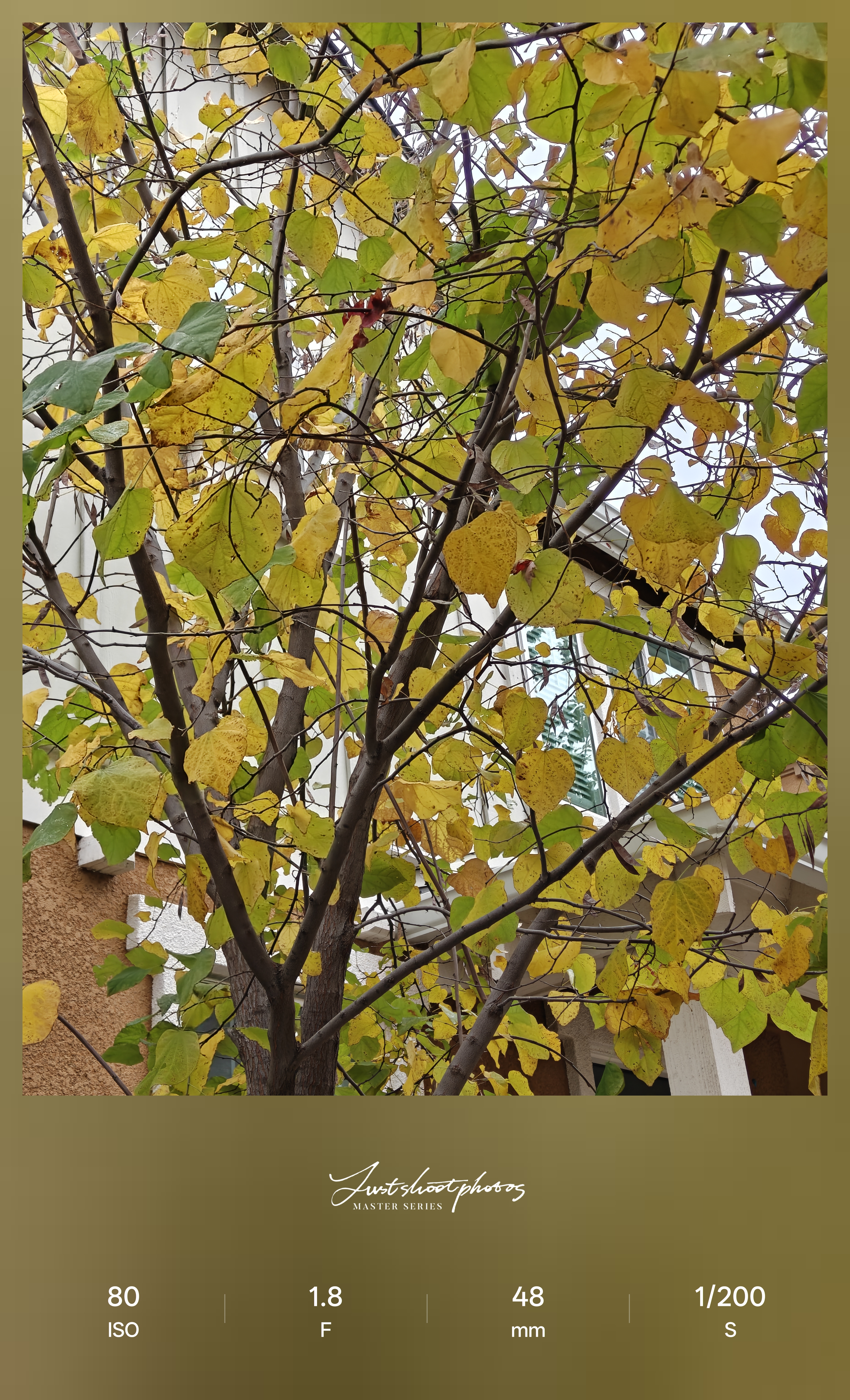 Δοκιμή κάμερας OnePlus 15