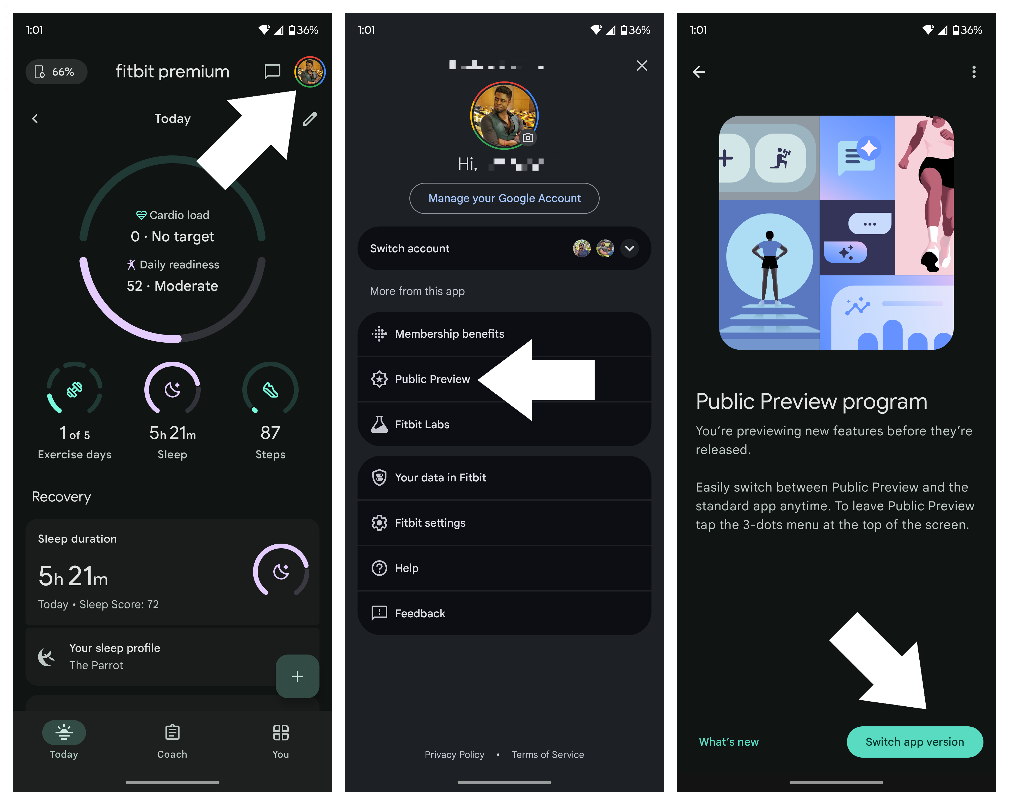 Ρύθμιση και εξερεύνηση της προεπισκόπησης Fitbit Personal Health Coach