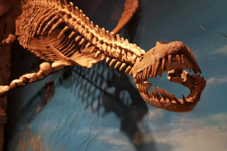 Οι επιστήμονες ανακάλυψαν ένα αρχαίο σούπερ-αρπακτικό «Επίπεδο 7» που θα έφαγε φάλαινες δολοφόνους σήμερα