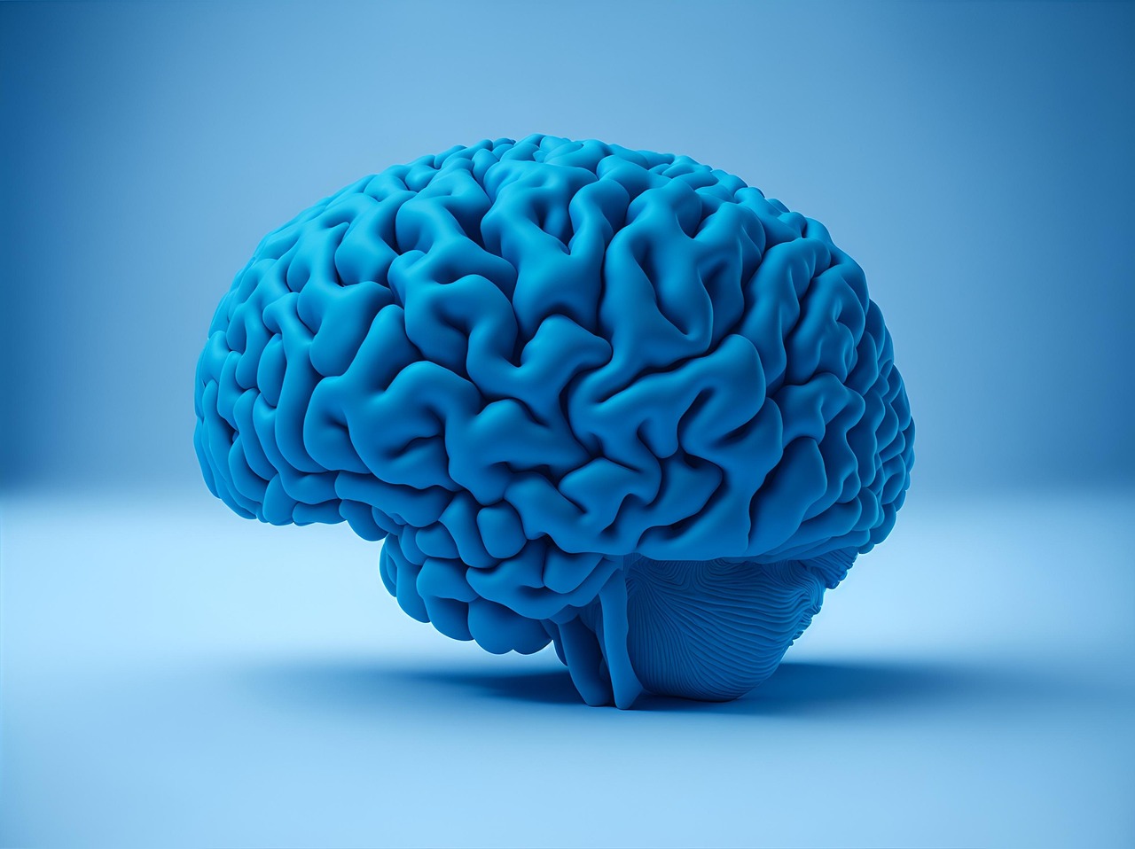 Ανακαλύψτε το Μυστικό: Πώς ο Εγκέφαλός μας Επιλέγει τα Θεωρούμενα Σημαντικά Θυμήματα!