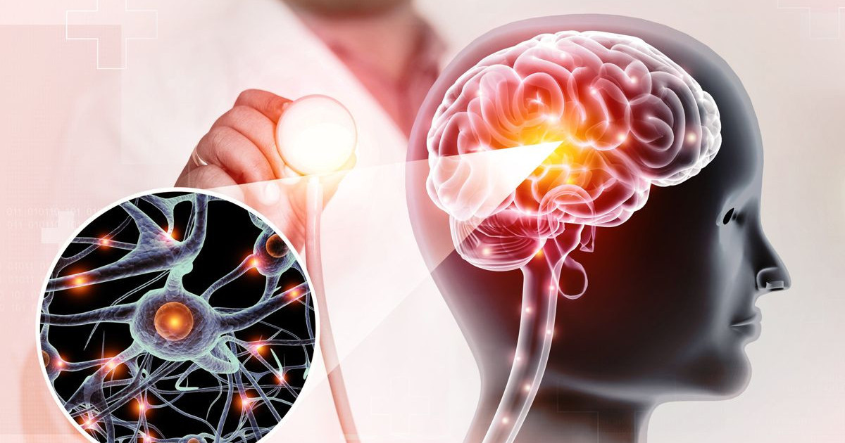 Απίστευτο! Τα Νέα Μοντέλα Ανθρώπινου Εγκεφάλου που Θα Ανατρέψουν τα Επιστημονικά Δεδομένα!