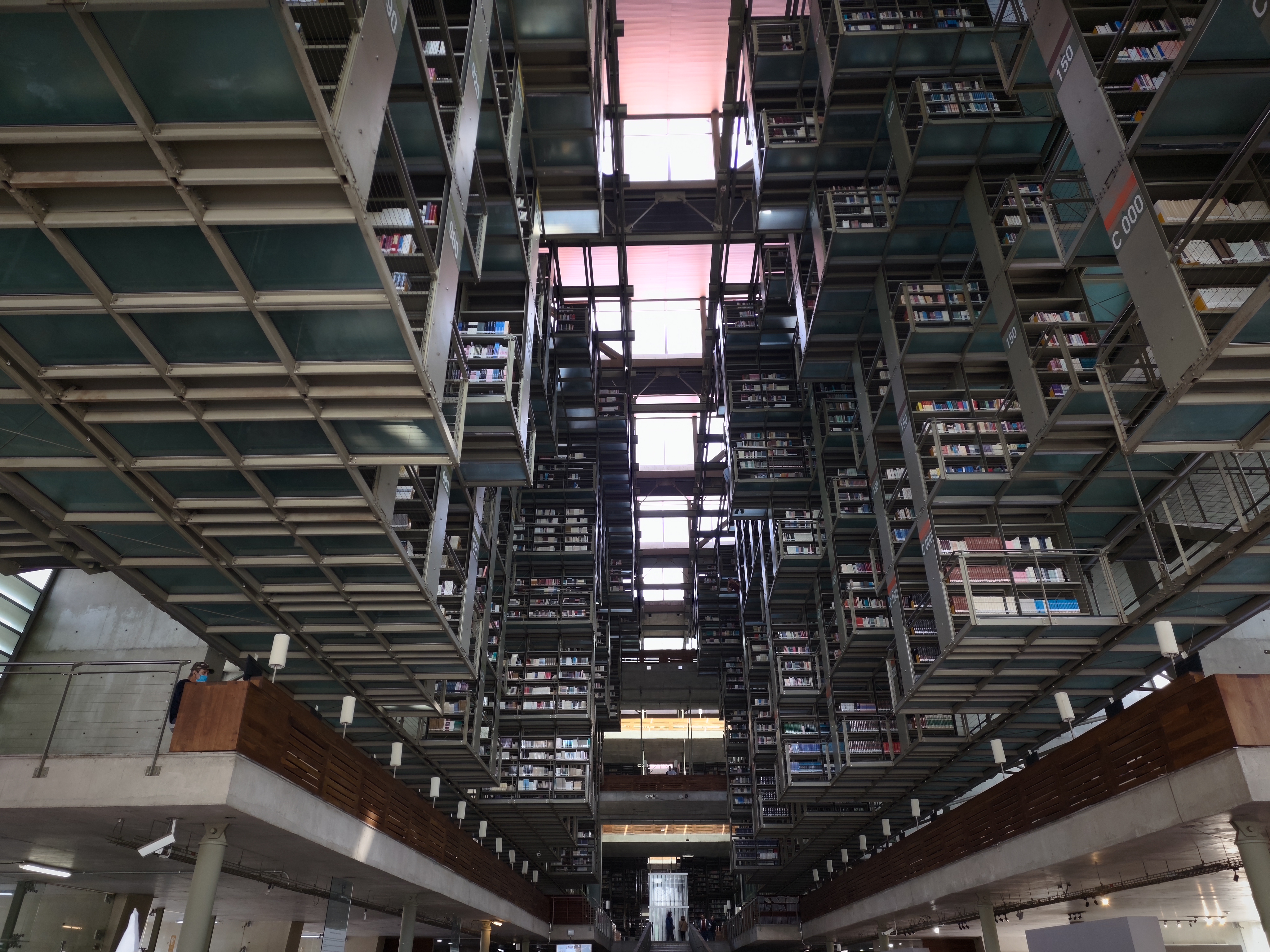 Δοκιμή κάμερας OnePlus 15 στο Μεξικό