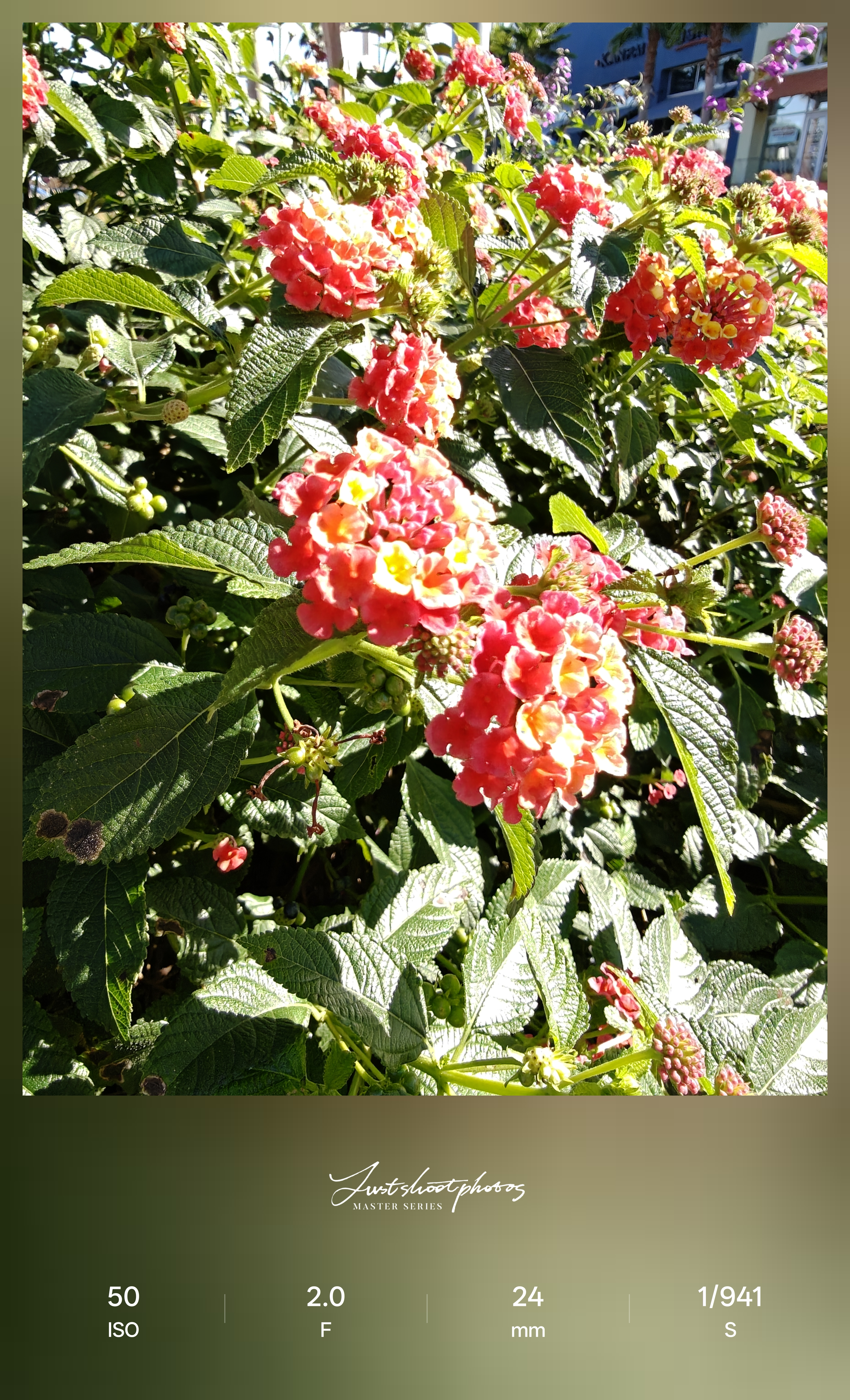 Δοκιμή κάμερας OnePlus 15 στο Android Central