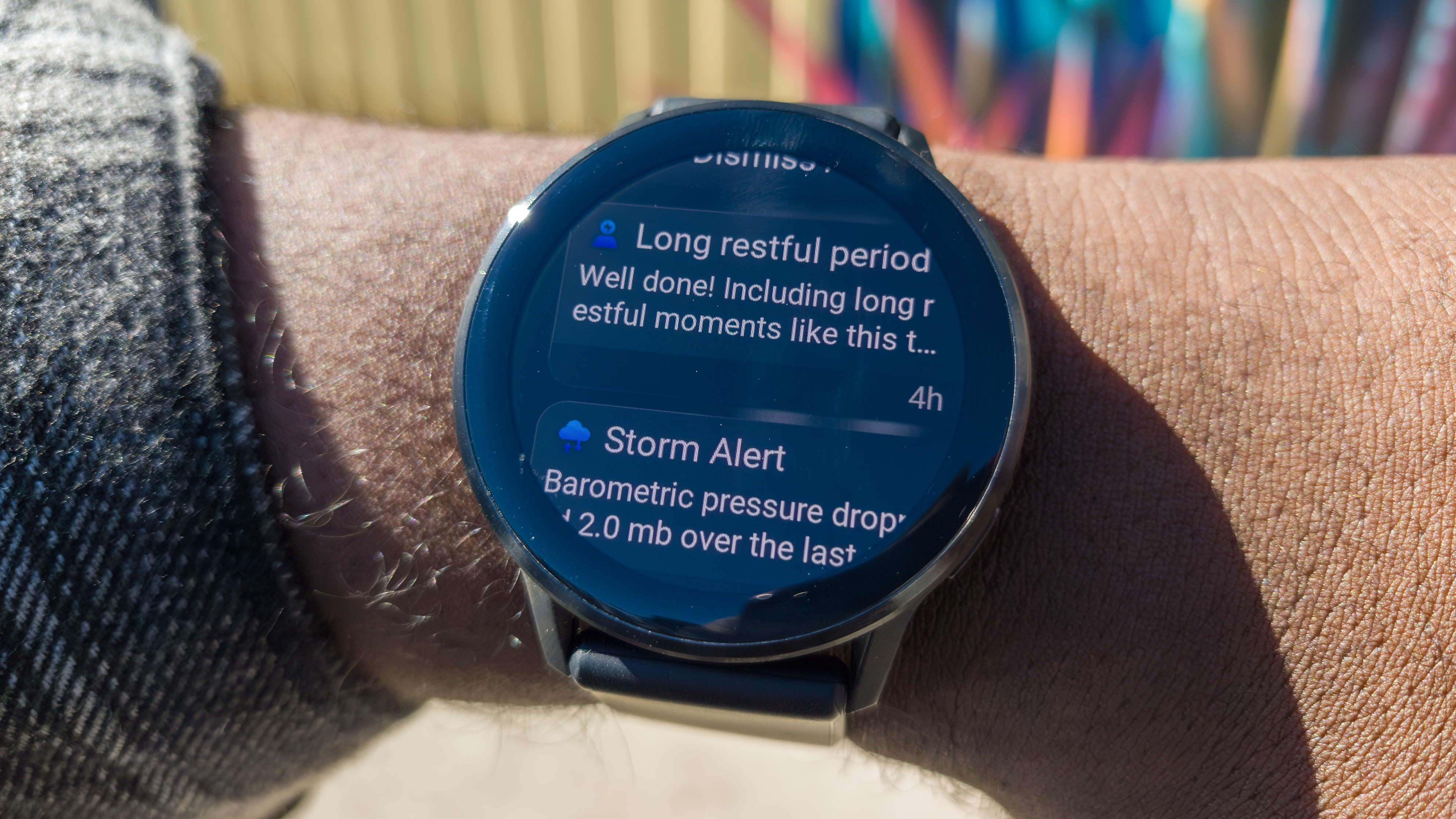 Πίνακας ειδοποιήσεων Garmin Venu 4