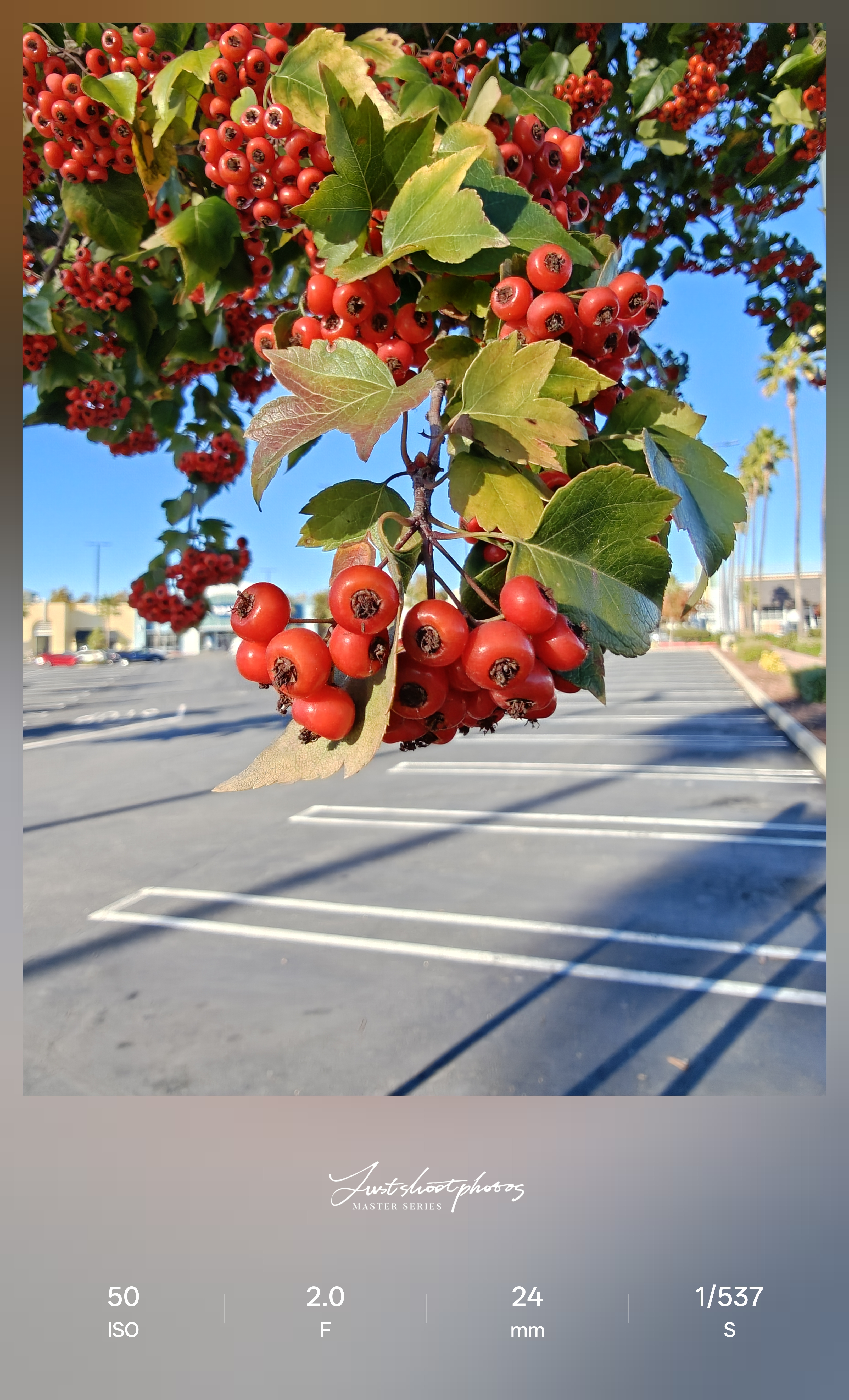 Δοκιμή κάμερας OnePlus 15 στο Android Central