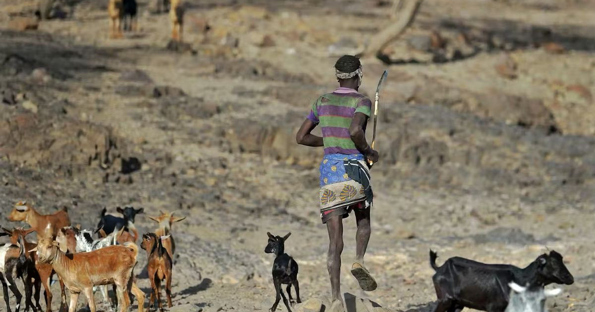 «Απίστευτο! Ο άνθρωπος συνεχίζει να εξελίσσεται – Δες πώς το βιώνουμε καθημερινά!»