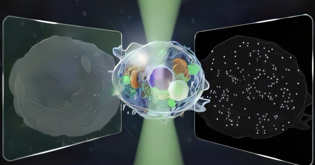 «Ανακαλύψτε το Νέο Μικροσκόπιο που Θα Επαναστατήσει τη Μελέτη των Ζωντανών Κυττάρων!»