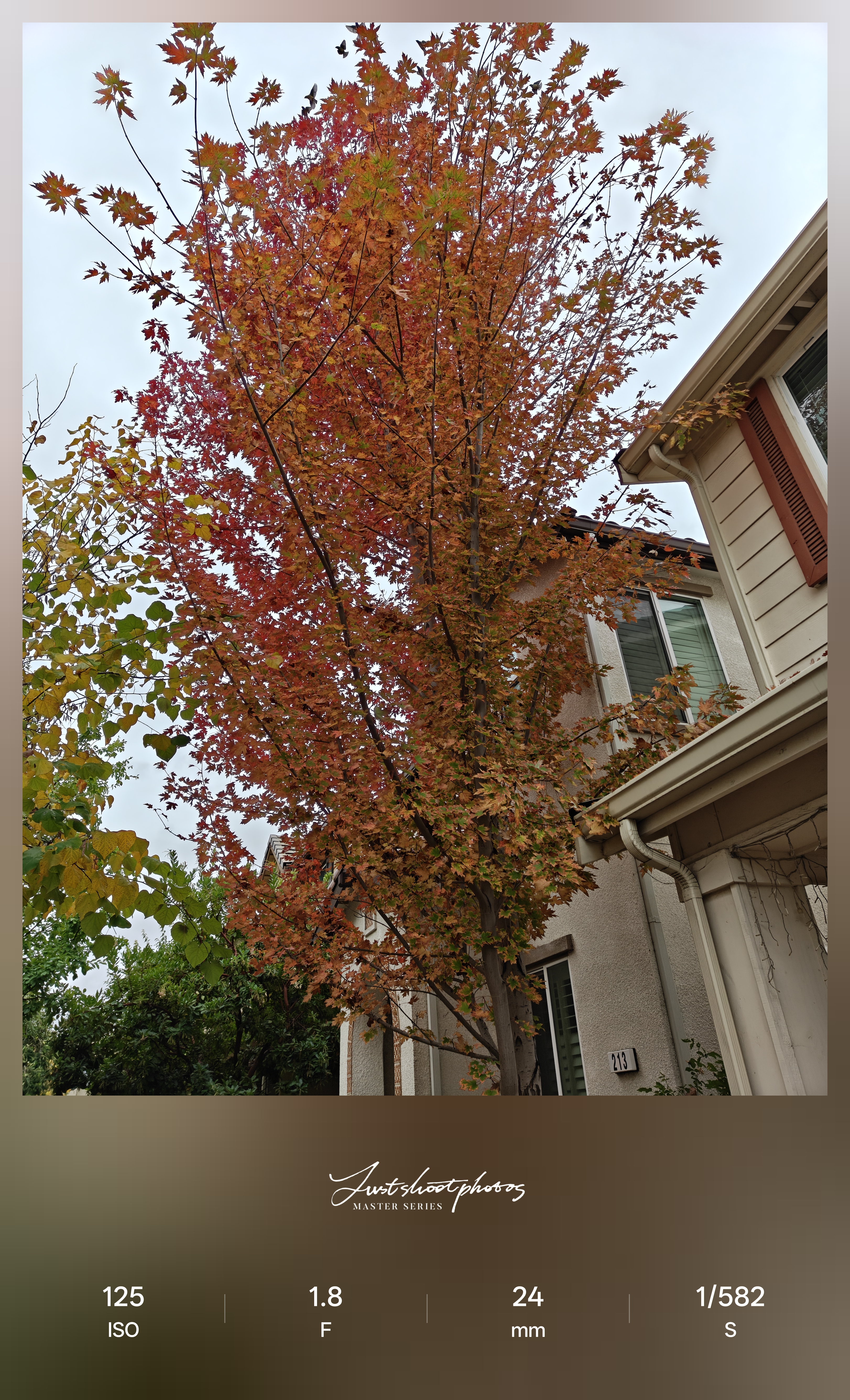 Δοκιμή κάμερας OnePlus 15 στο Android Central