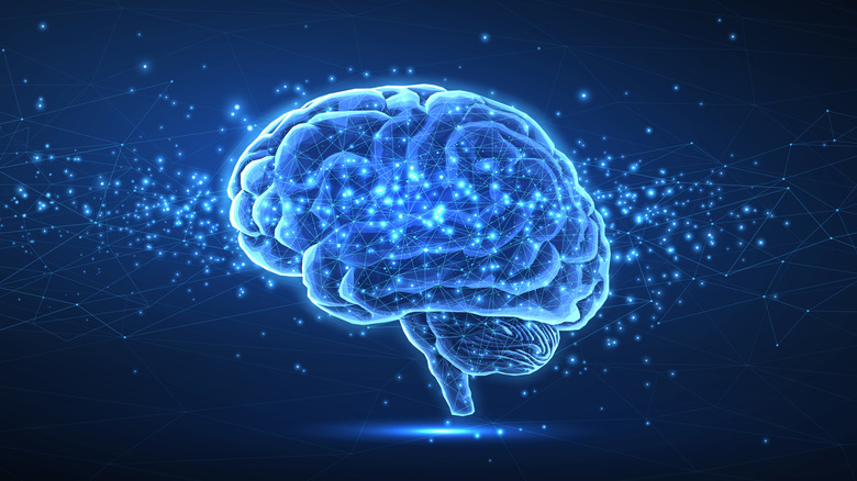 μια ψηφιακή εικόνα του ανθρώπινου εγκεφάλου
