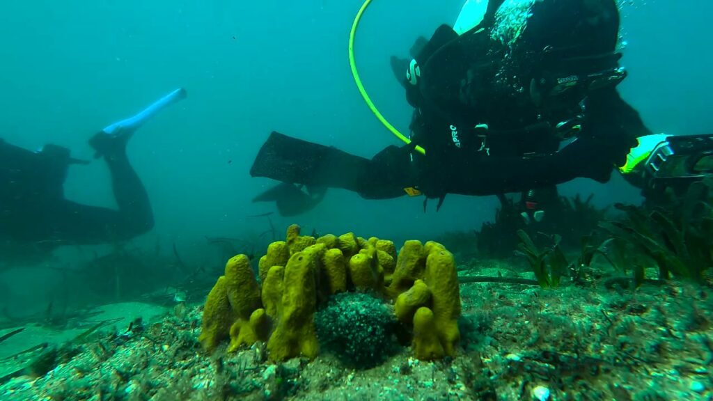 vlcsnap 2025 01 27 10h43m12s042