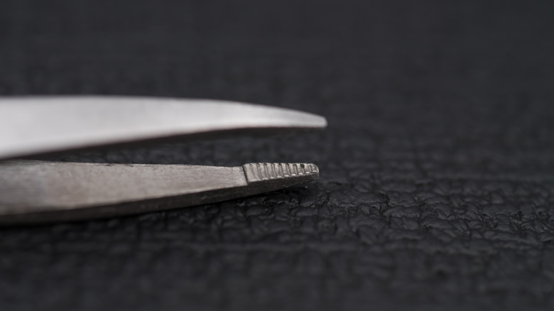 Το κεφάλι ενός ζευγαριού ατσάλινο τσιμπιδάκι.