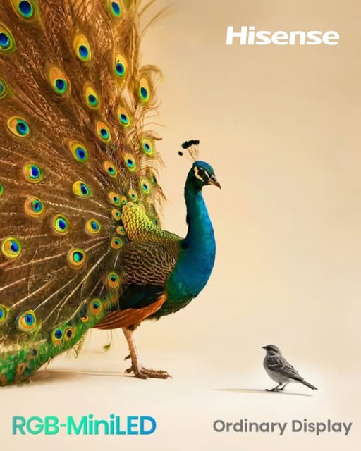 Δ.Τ. Ι Η Hisense φέρνει πρώτη την επόμενη εποχή στις τηλεοράσεις με RGB MiniLED 03