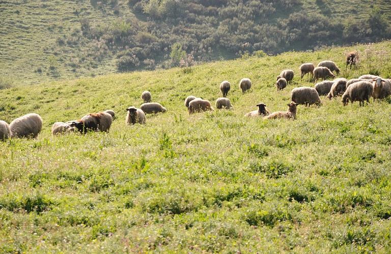 «ΣΟΚ! Αναρτήθηκαν οι πίνακες για την Εξισωτική Αποζημίωση 2025 – Ελέγξτε αν είστε δικαιούχοι!»