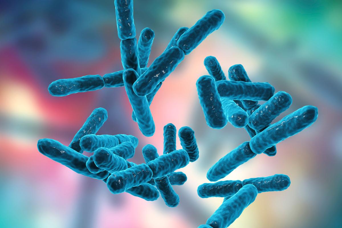 «Σοκ και Δέος: Πώς το Βακτήριο Fusobacterium Μπορεί να Προκαλέσει Αμυγδαλίτιδα, Πλευρική Αυχενική Λεμφαδενίτιδα και Πνευμονία!»