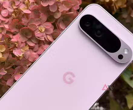 Google Pixel 9 Pro XL ενάντια στα ροζ λουλούδια