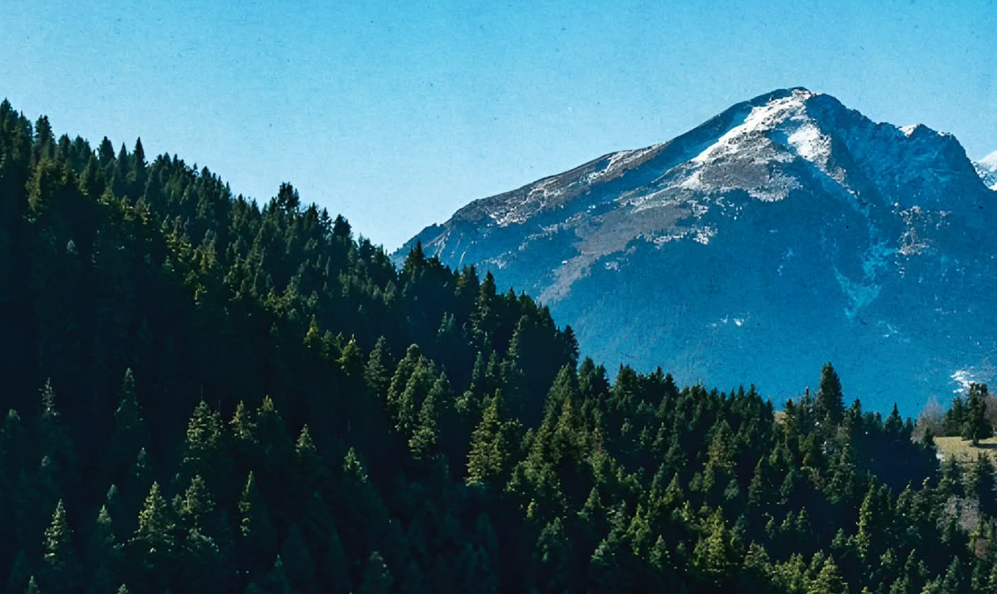 Ανακαλύψτε το Μέλλον του Ασπροποτάμου: Ημερίδα που Θα αλλάξει τα Δεδομένα για τις Ορεινές Περιοχές!