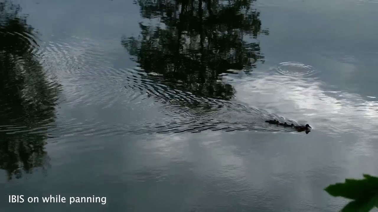 Fujifilm X-T50: Δείγμα βίντεο (IBIS) - YouTube