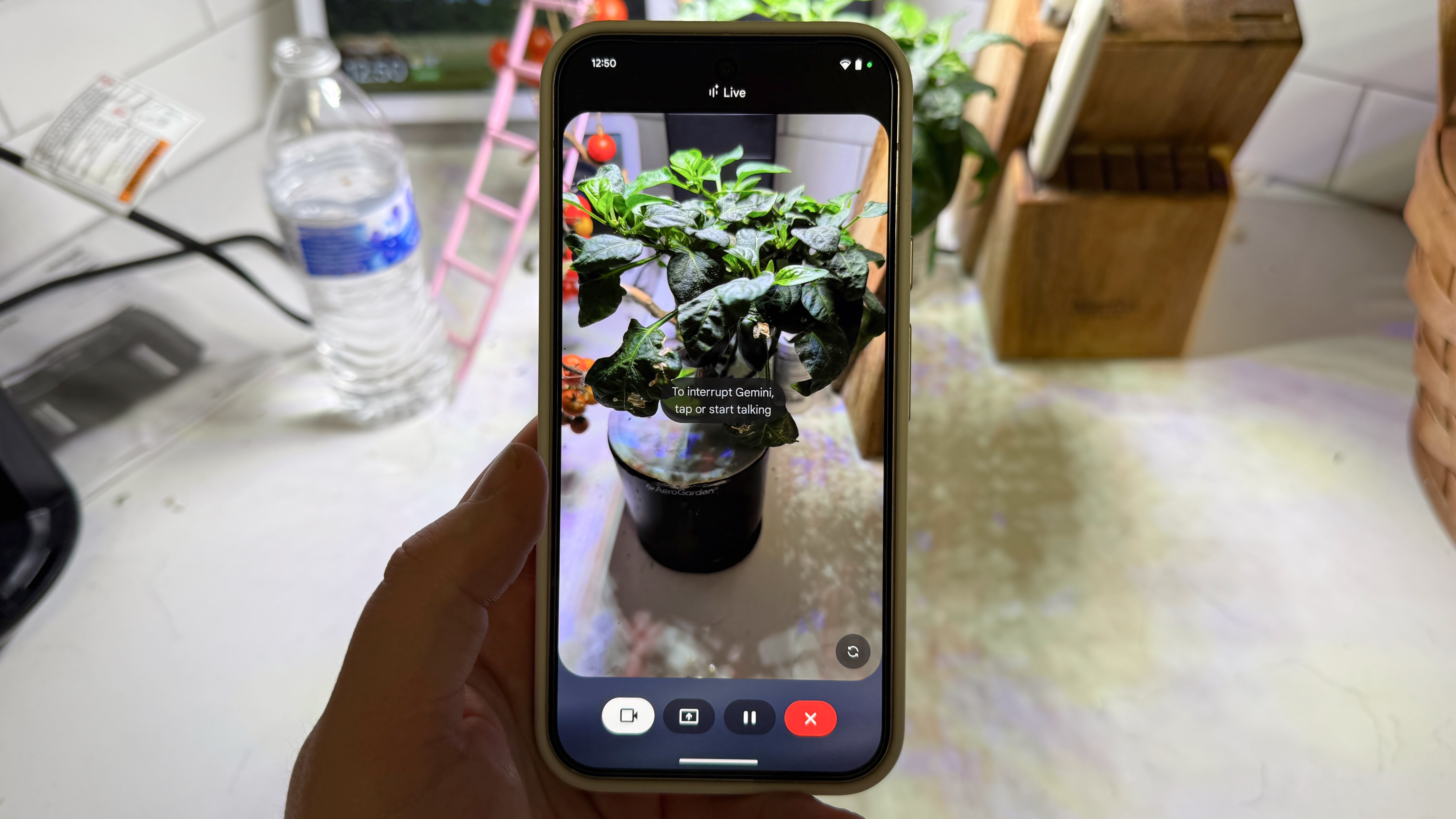 Χρησιμοποιώντας το Gemini Live για την καλλιέργεια φυτών και τη διάγνωση προβλημάτων.