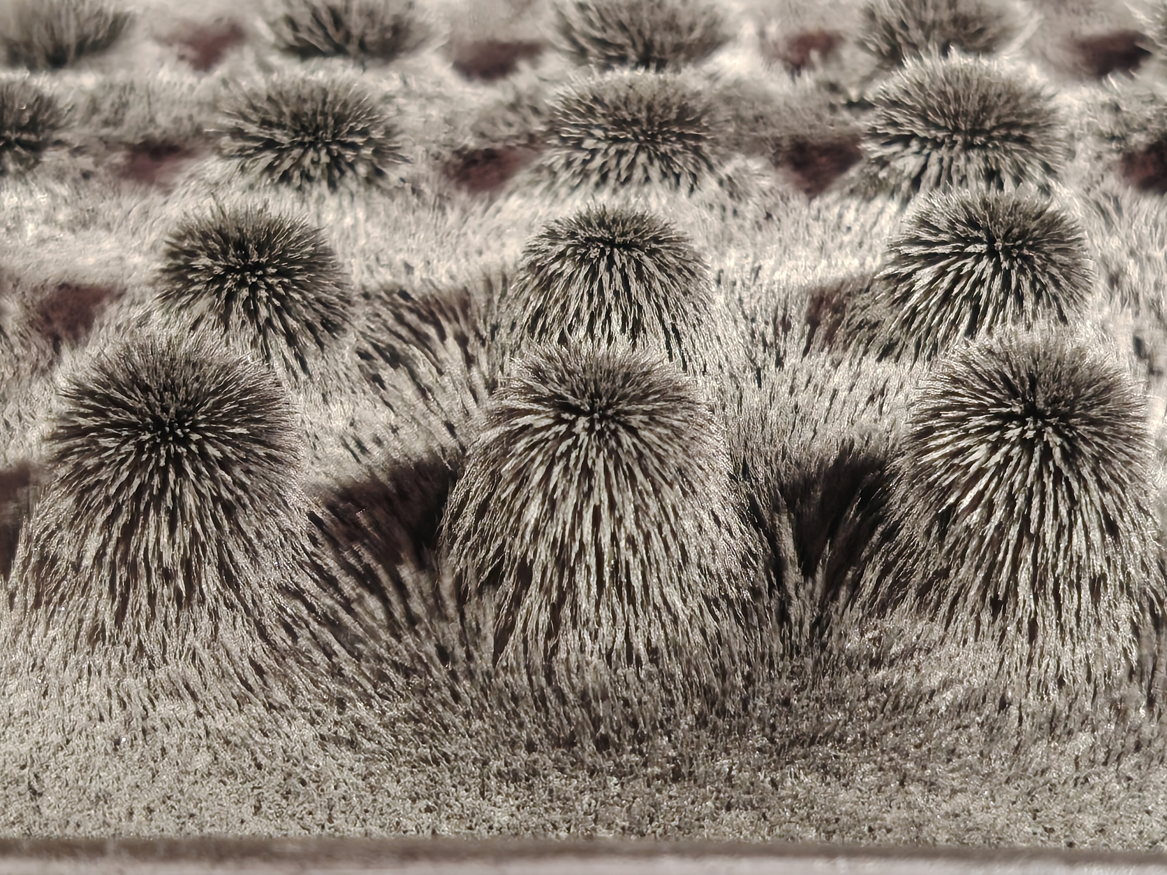 A photo taken from the Honor Magic 8 Lite of iron on magnets at 3x zoom