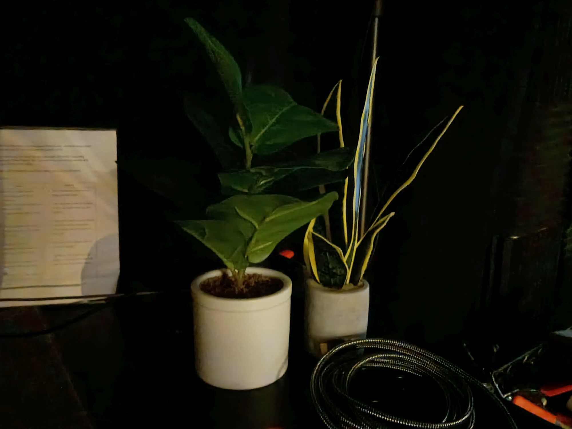 Motorola Moto G Play (2026): Ένα Φθηνό Smartphone που Σίγουρα Δεν Θέλεις! Δείγμα κάμερας Motorola Moto G Play (2026).