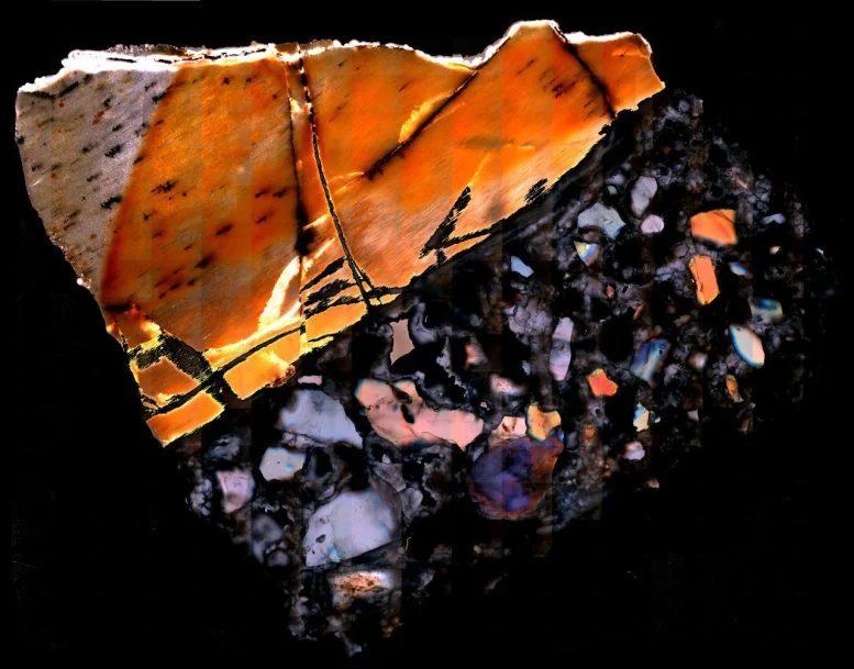 Επιστήμονες εξάγουν μεταβολικά μόρια από απολιθώματα εκατομμυρίων ετών για πρώτη φορά