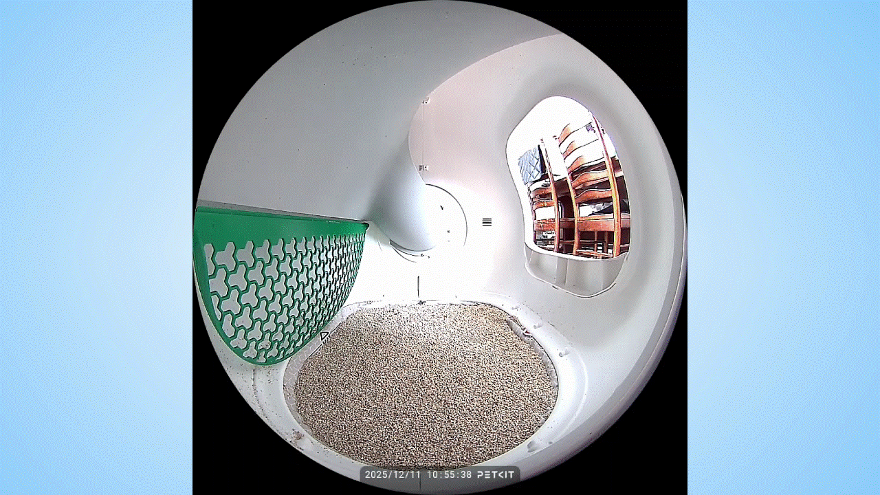 Γάτα που χρησιμοποιεί το Petkit Purobot Max Pro 2.