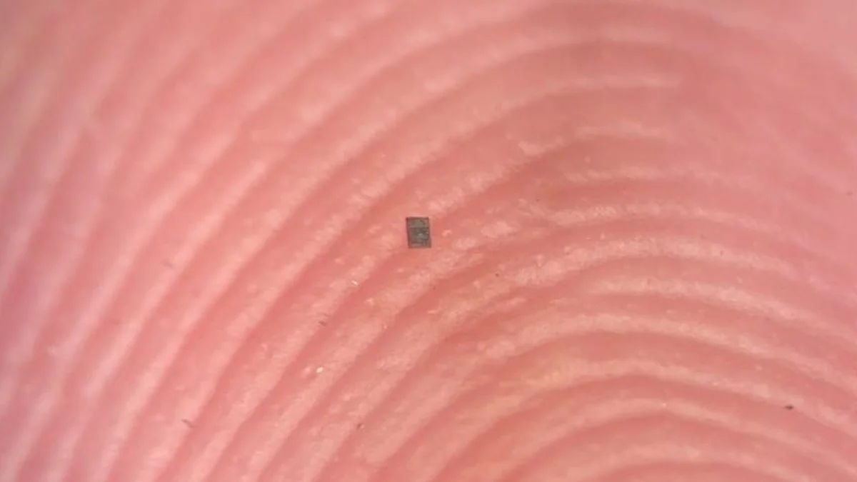 «Ανακάλυψε το Μικρότερο Ρομπότ του Κόσμου: Δεν θα το Πιστεύεις Πόσο Μικρό Είναι!»