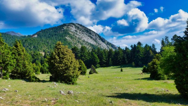 «Ανακαλύψτε τα Απόρθητα Βουνά του Πάρνωνα και των Τζουμέρκων: Ένας Παραδείσιος Κόσμος σας Περιμένει!»