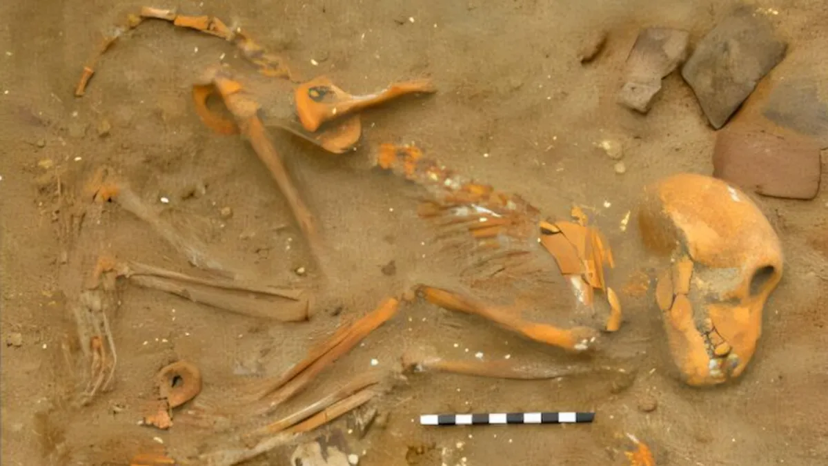 Οι Ρωμαίοι στρατηγοί χάρισαν γατάκια και γουρουνάκια στα κατοικίδια μαϊμούδες τους