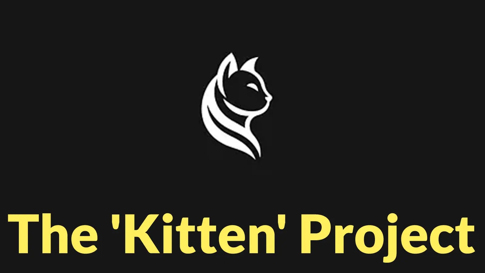 The ‘Kitten’ Project – Ομάδες Χακτιβιστών που πραγματοποιούν επιθέσεις με στόχο το Ισραήλ