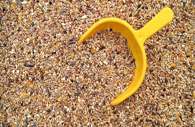 «Σοκ! Ευλογιά προβάτων: Μάθετε πώς 21 εκατ. ευρώ για ζωοτροφές αλλάζουν τα δεδομένα!»