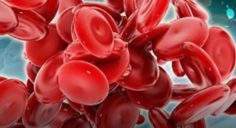 Ανατρεπτική Ανάλυση: Ο Εκρηκτικός Συνδυασμός Teclistamab και Daratumumab που Κάνει Θραύση!