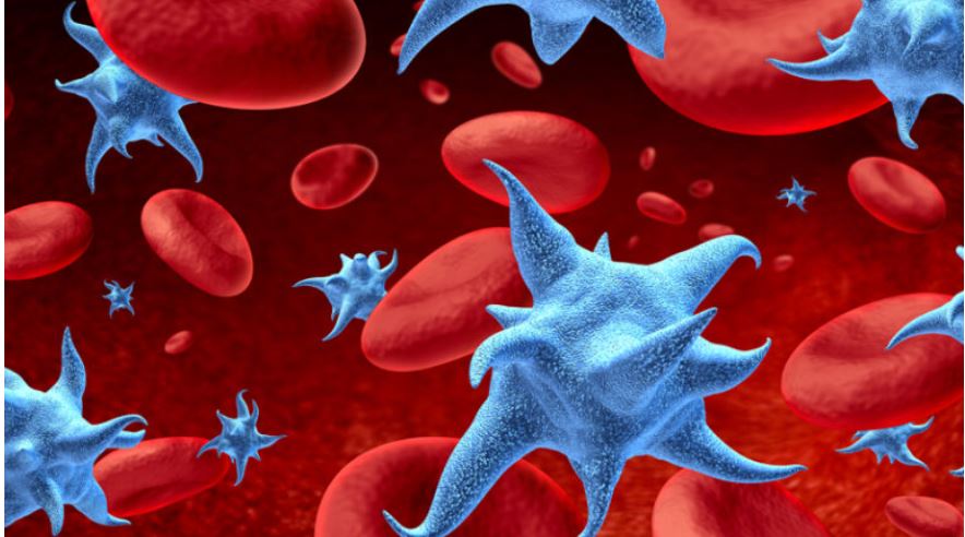 Ανατροπή στην Ιατρική: Η Επλανητική Θεραπευτική Κλινική του ΕΚΠΑ Καταπολεμά το Πολλαπλασιαστικό Μυέλωμα!