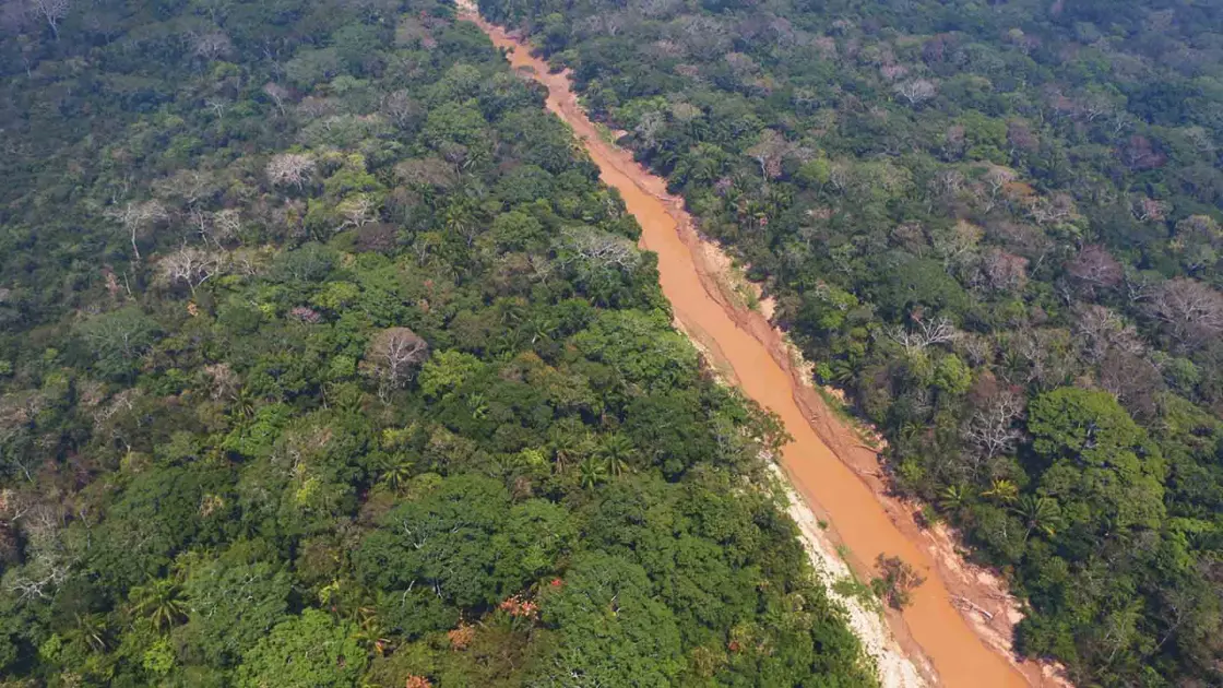Ανακαλύπτοντας το Χαμένο Βασίλειο του Αμαζονίου: Μυστικά που Θα σας Σοκάρουν!